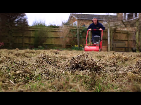 Lawn Scarification - Correct Scarification Procedure