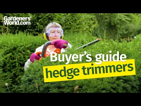 Hedge trimmers - Buyer&#039;s Guide