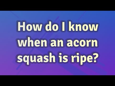 How do I know when an acorn squash is ripe?
