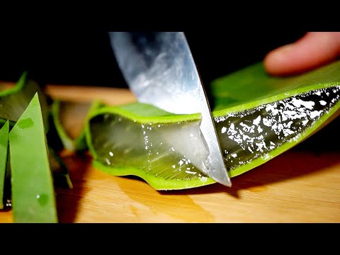 ASMR Cutting Aloe Vera