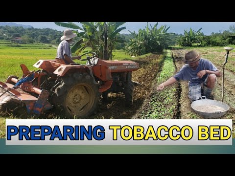 TOBACCO BED PREPARATION | GROWING TOBACCO