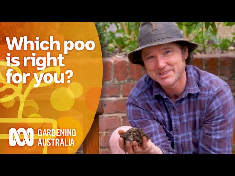 Which poo is right for you? | Gardening 101 | Gardening Australia