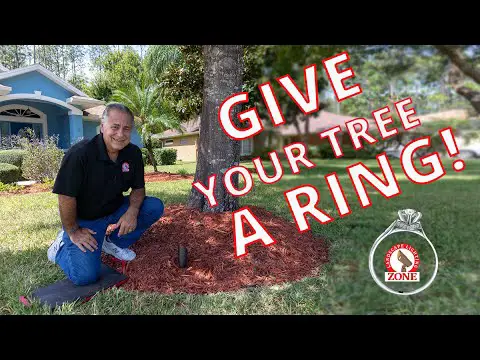 Protect Landscape Lights and Your Tree...Give Your Tree a Ring!