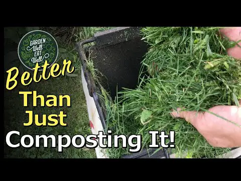 BEST Use For Grass Clippings EVERYWHERE In The Garden! MORE Benefits &amp; Easier Than Composting It!