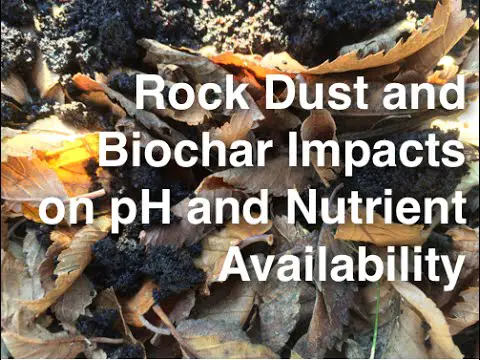 Rock Dust and Biochar impacts on pH and Nutrient availability in garden soil Alberta Urban Garden