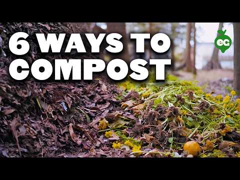 6 Different Ways To Compost, No Matter Where You Live