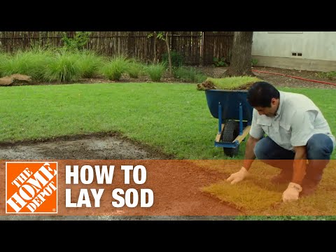 Laying Sod &amp; How to Prepare Soil For Sod | The Home Depot