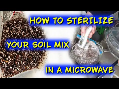 How to sterilize your soil mix in a microwave