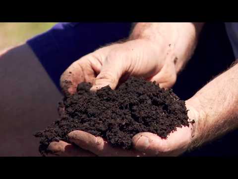 Soil organic matter: Everything you need to know about organic matter on your farm