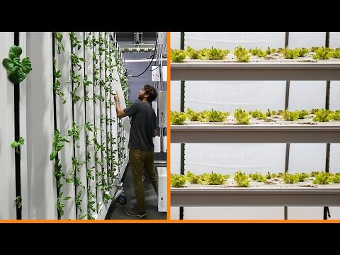 Vertical Farming: Horizontal Plane vs Vertical Plane Production