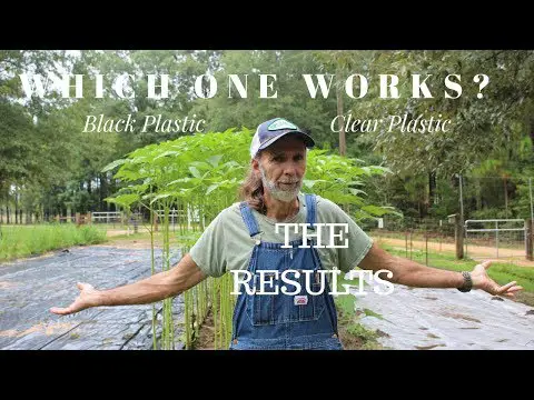 RESULTS Are In! ~~ Black Plastic vs Clear Plastic?