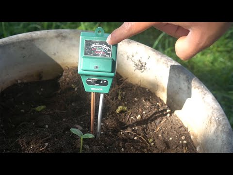 How to Make Soil Acidic and Raise or Lower pH Level of Soil