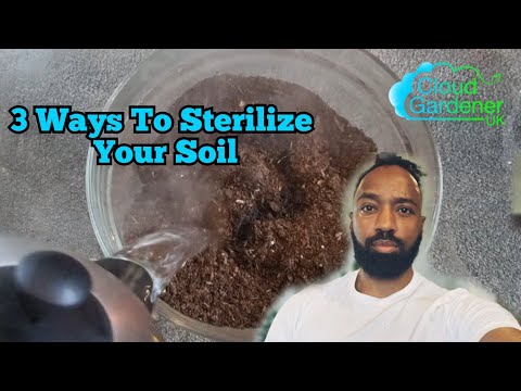 3 Ways To Sterilize Your Soil