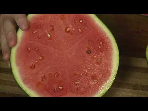 Seeded vs. Seedless Watermelons