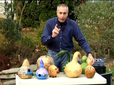 Drying Gourds