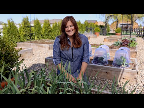 Raised Beds Guide for Beginners! 🤔👩‍🌾// Garden Answer