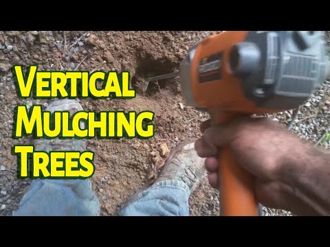 How I Use Vertical Mulching To Help Trees Showing Stress