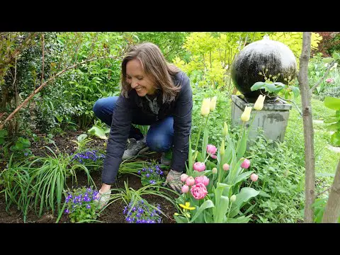 Which Lobelia Can Beat the Heat??? Trialing Different &quot;Heat Tolerant&quot; Lobelias☀️😎💙