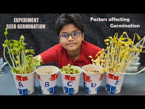 Seed Germination | Conditions affecting Germination Experiment | Plant Germination
