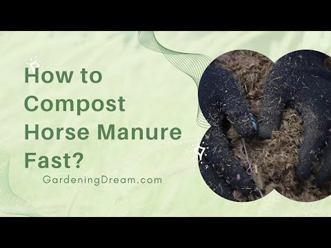 How to Compost Horse Manure Fast?