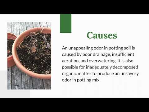 Why Does My Potting Soil Smell Bad? Causes And How To Fix It! (2021)