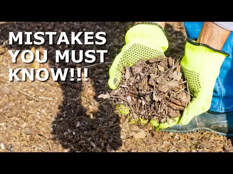 AVOID These 5 WOOD CHIP Mulching Mistakes