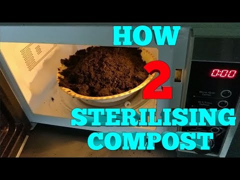 How to sterilize compost in the microwave