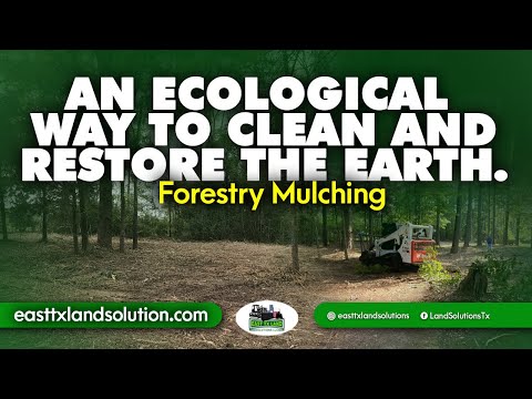 📌 🚜 Forestry Mulching / Forest mulching, the shredder and its process*