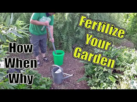 How To Fertilize Your Garden The Correct Way | How, When &amp; Why?