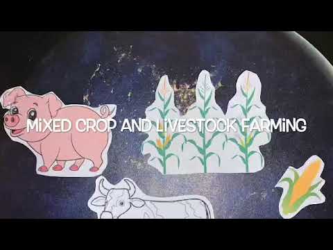 Mixed Crop and Livestock Farming Project | Emma Alvarez