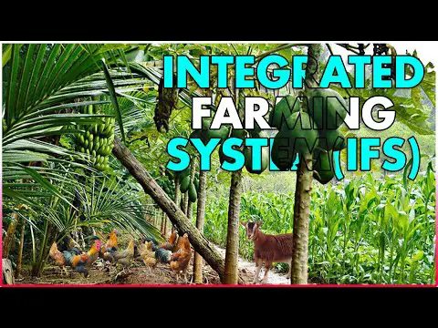 What is Integrated Farming System (IFS) | Benefits of Integrated Farming System