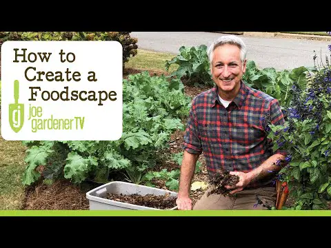 Edible Landscaping - How to Create a Foodscape