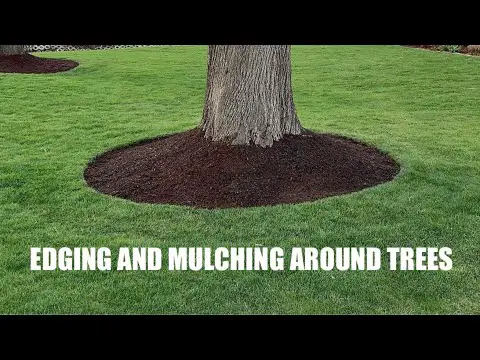 EDGING and MULCHING around TREES - How to get a CLEAN LOOK