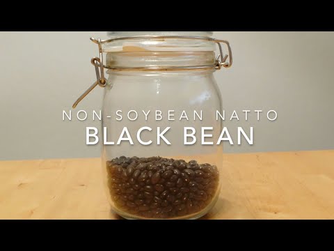 Black Bean -Non-Soybean Natto Series-