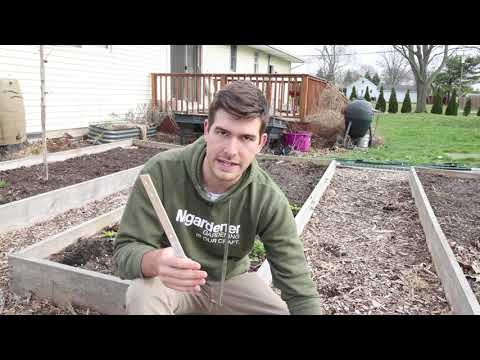 How to Test Your Soil at Home For FREE!