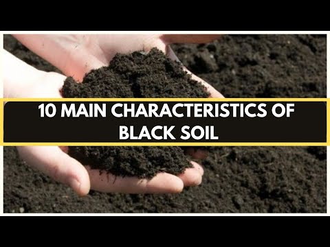 Black Soil: 10 Main Characteristics of Black Soil | Types of Soil in India