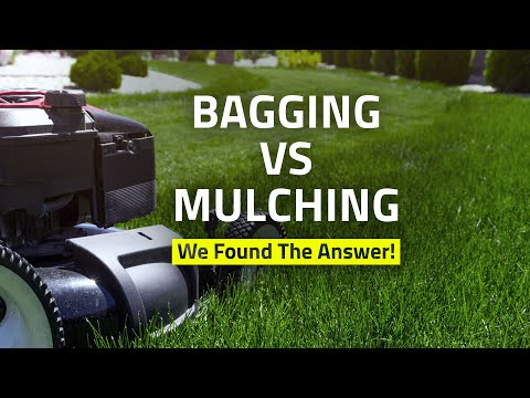 Mulching Vs. Bagging? What Should I do?