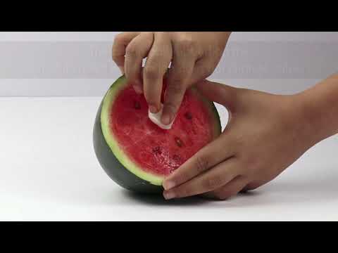 Testing Watermelon adulteration with Erythrosine Color | FSSAI