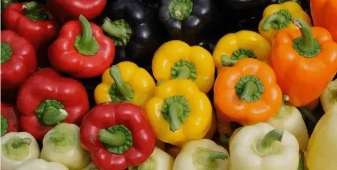 different types varieties bell peppers