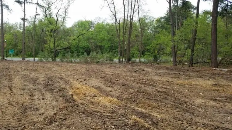 What to Do After Forestry Mulching? (How to Clean Up After Mulching?)