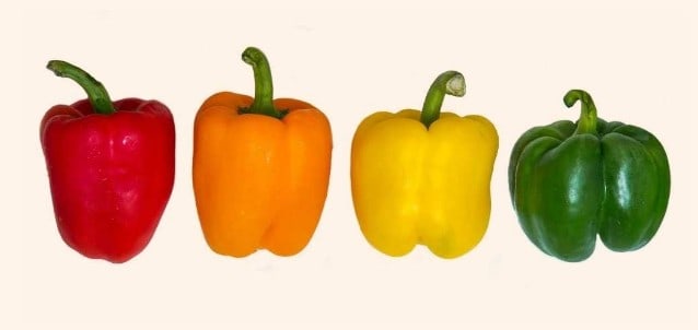 bell peppers are different varieties