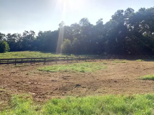 Forestry Mulching After - Fence Row Clearing