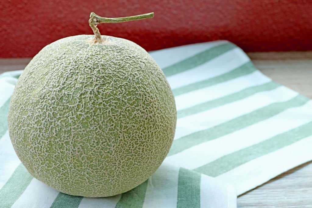 cantaloupe fruit