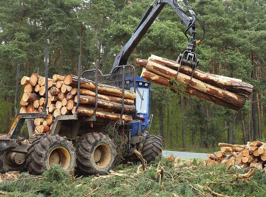 forestry mulcher