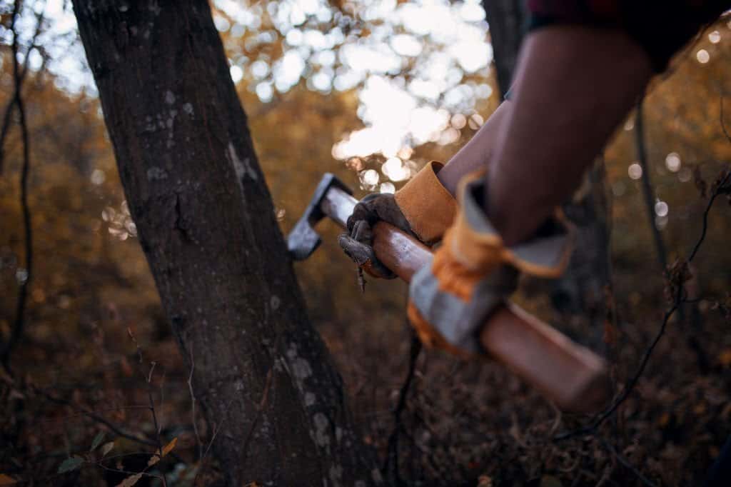 cutting-down-tree