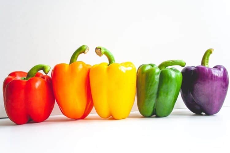 Multi Color & Tri Color Bell Peppers How to Grow Different Peppers