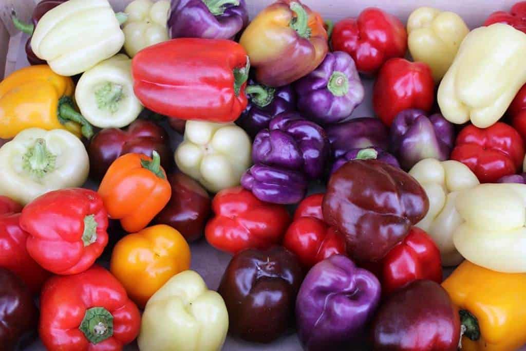 multicolor bell peppers