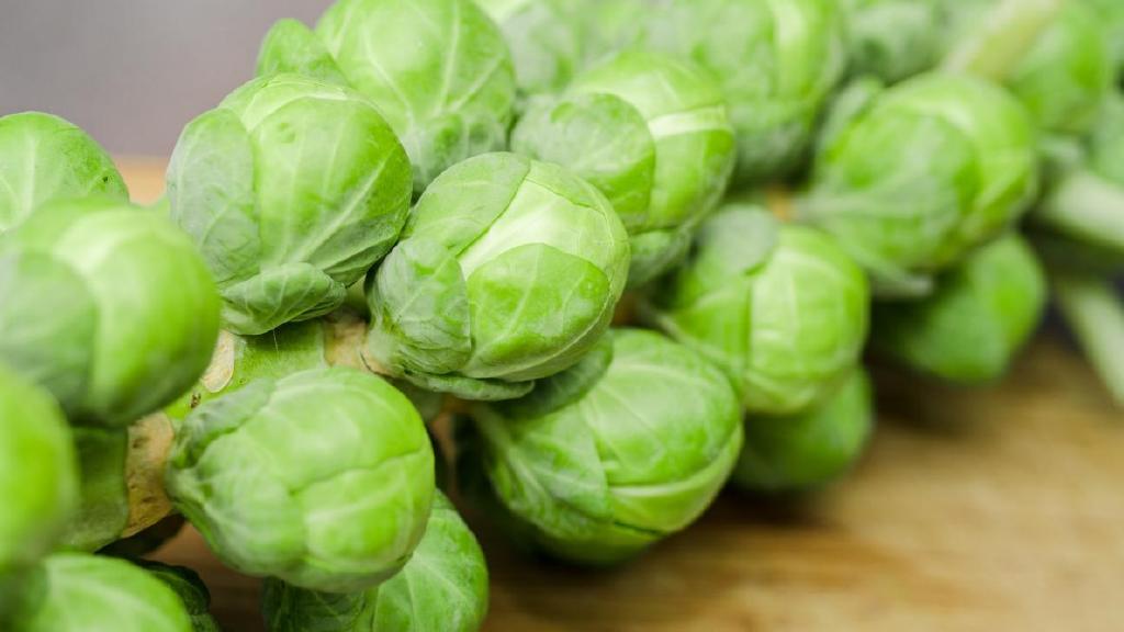 brussels sprouts harvest