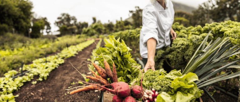 Commercial Farming vs Subsistence Farming: What’s the Difference?