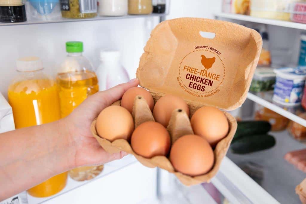 free range chickens eggs label